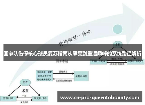 国家队伤停核心球员复苏指南从康复到重返巅峰的系统路径解析