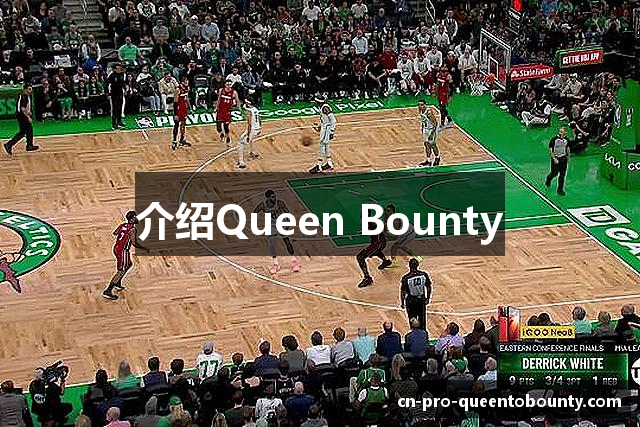 介绍Queen Bounty